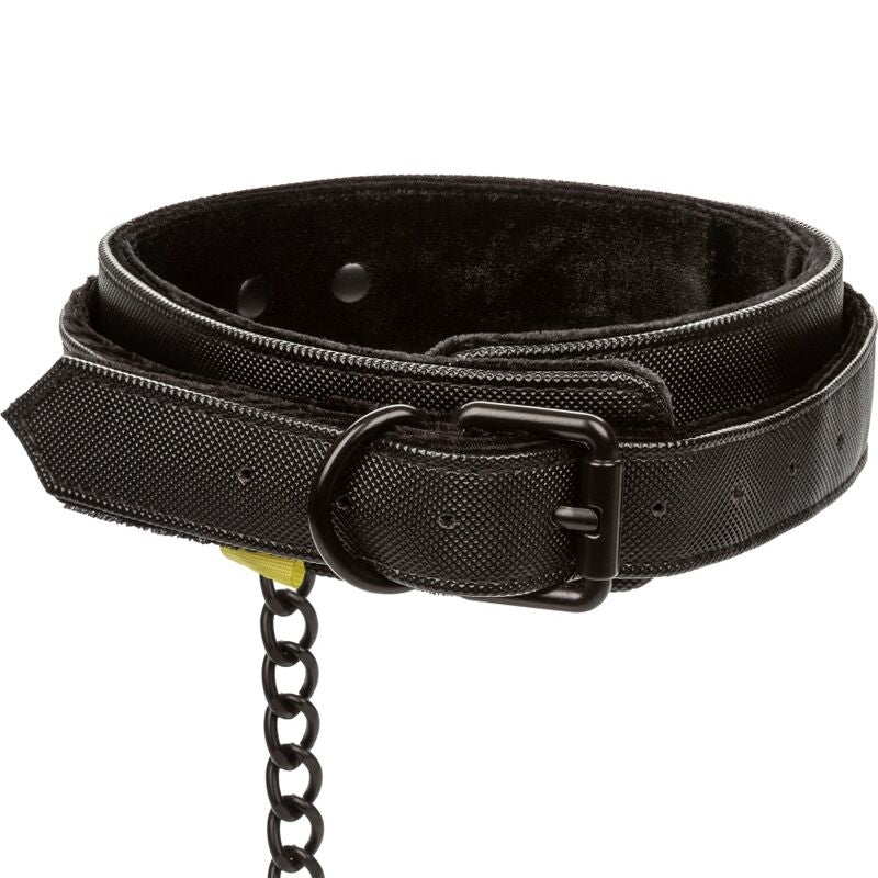 CALEXOTICS Collier Laisse Sans Limites — accessoires inclus