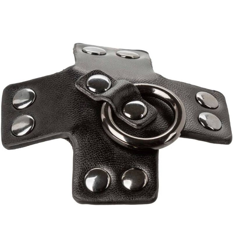 CALEXOTICS Euphoria Joint Torique Noir — accessoires inclus