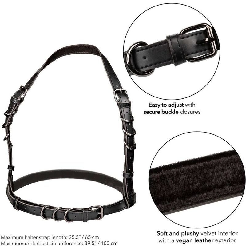 CALEXOTICS Euphoria Harnais Boucle Licol Noir — accessoires inclus