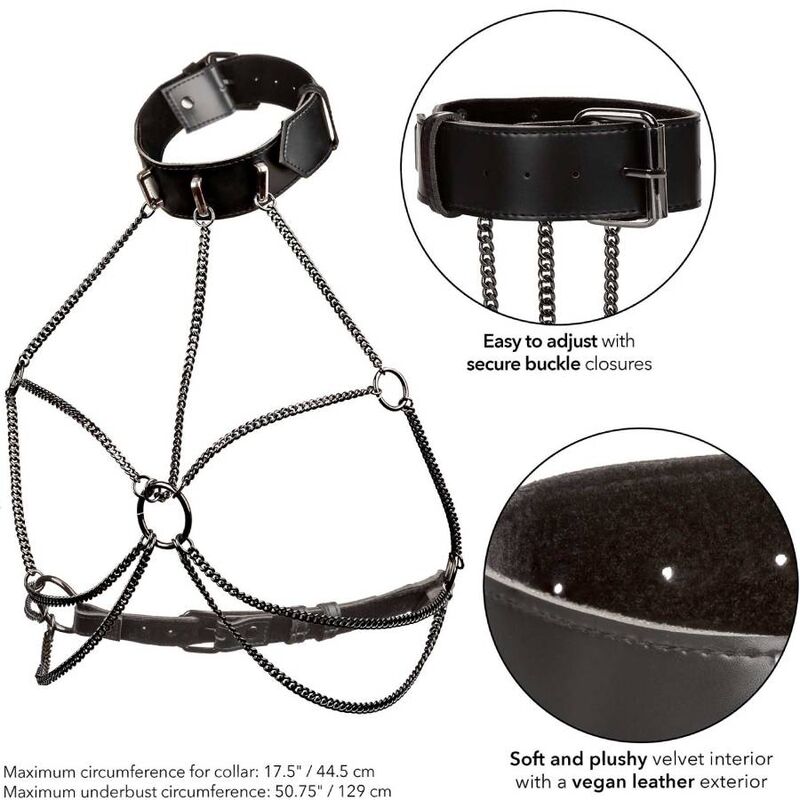 CALEXOTICS Euphoria Harnais Collier Multi Chaînes Taille Plus — accessoires inclus