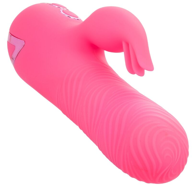 CALEXOTICS SACRAMENTO SWEETIE VIBRATEUR LAPIN ROSE PAR CALIFORNIA DR... — accessoires inclus