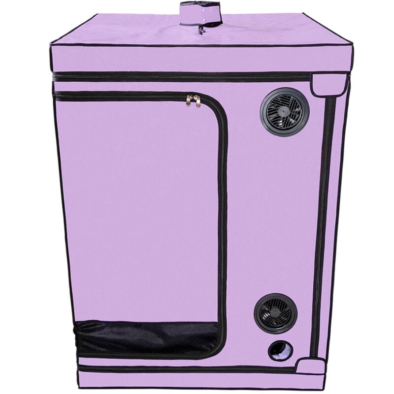 SECRET DOME Kink Club Cabine Scandale Purple — accessoires inclus