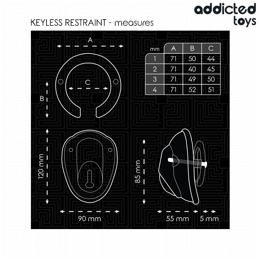 ADDICTED TOYS LOCKED À Pénis Verrouillée Sans Clé 11,5 Cm — accessoires inclus