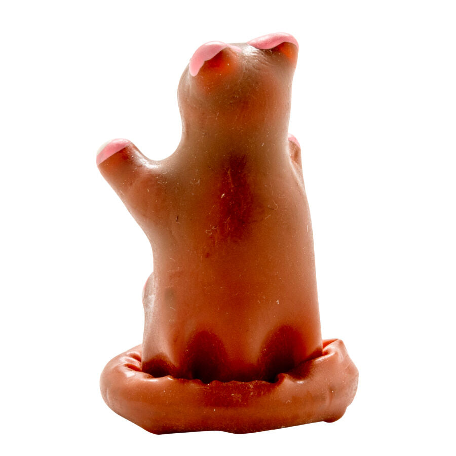 CONDOMERIE Préservatifs Fantaisie Peints À Main Ours Peluche — vue arrière