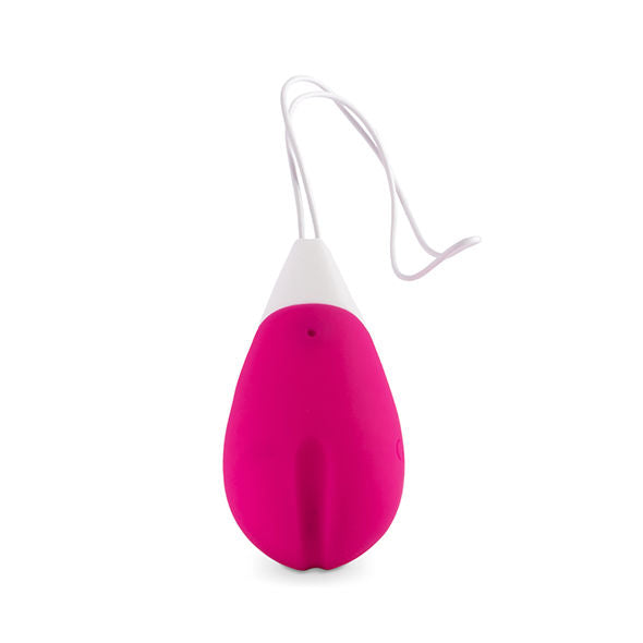INTENSE REMOTE CONTROL Vibrateur Jan Egg Télécommande Rose — accessoires inclus