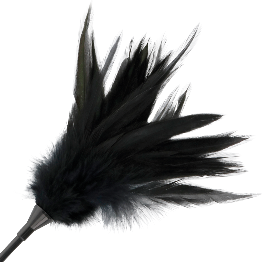 DARKNESS SENSATIONS Fouet À Plumes Noires — vue alternative