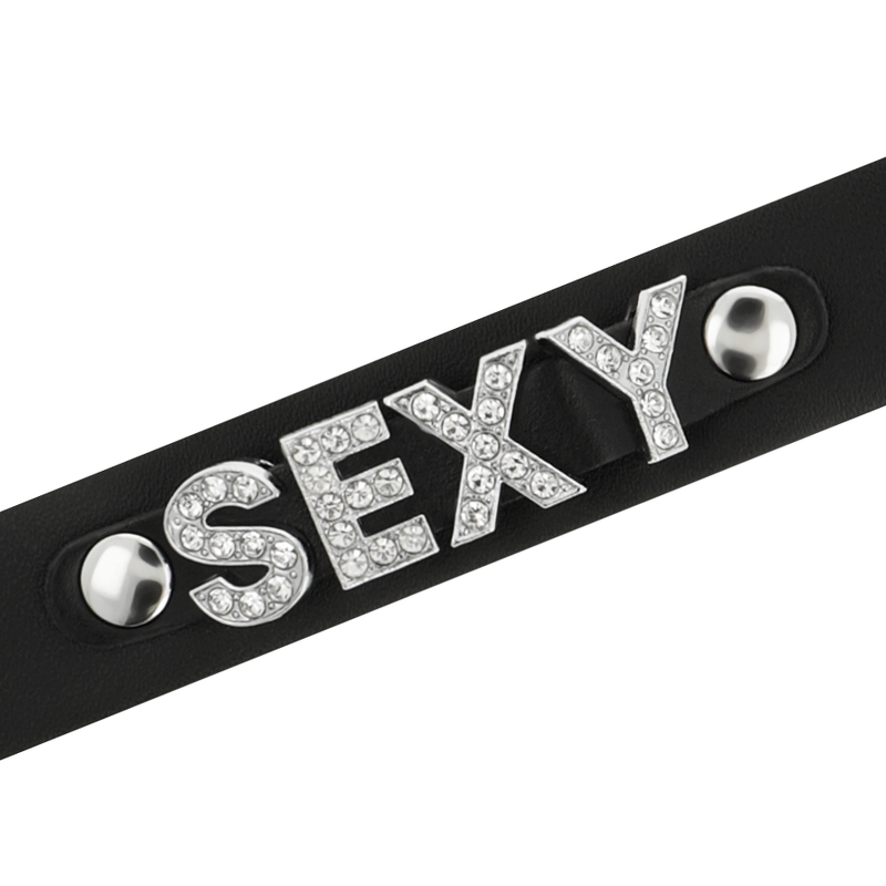 COQUETTE ACCESSORIES Ras Cou Sexy Cuir Végan — vue arrière