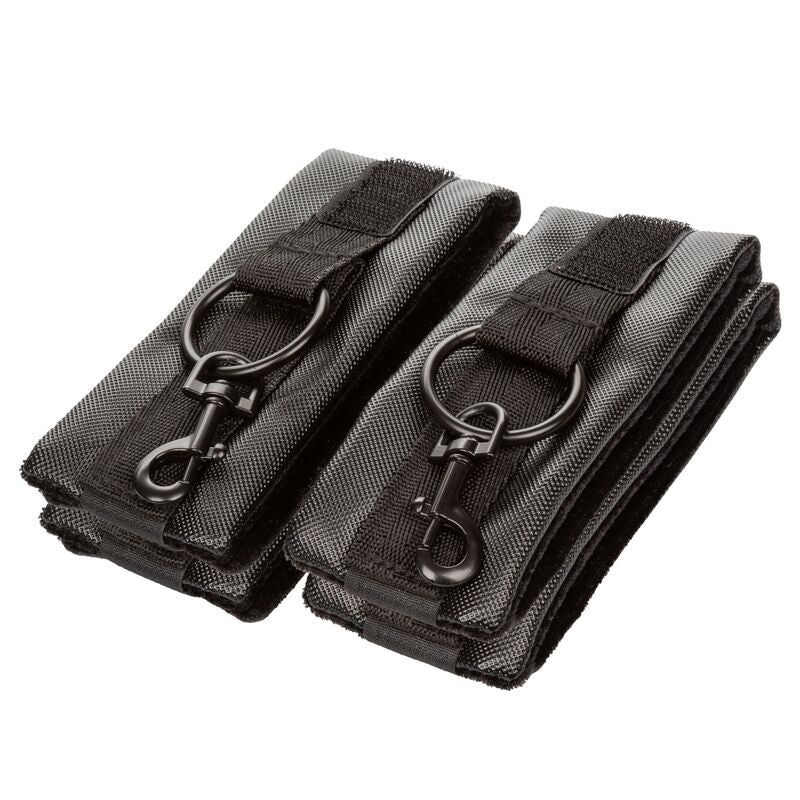 CALEXOTICS Cravate Porc Sans Limites — accessoires inclus
