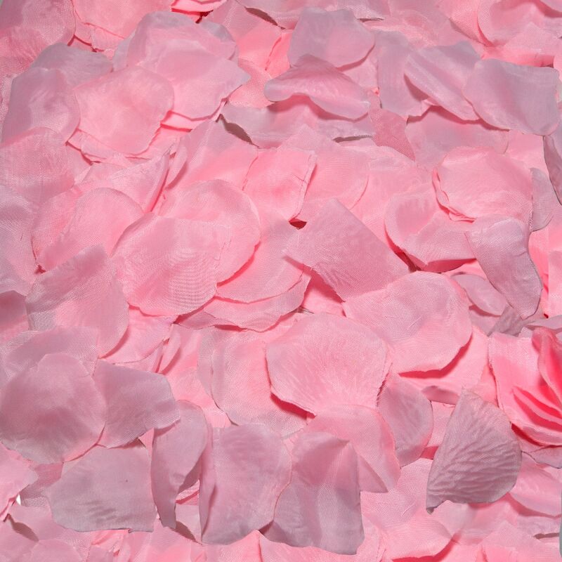 DIABLO PICANTE 100 Pétales Roses - Aura Intime