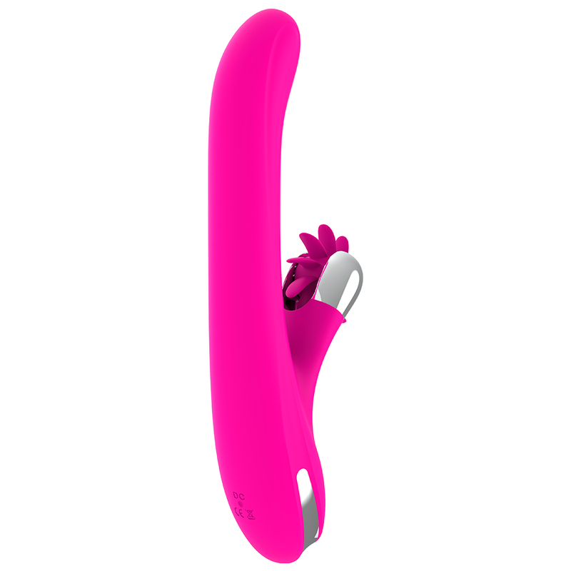 DIVERSIA ROTATION LAPIN 24 CM — vue arrière