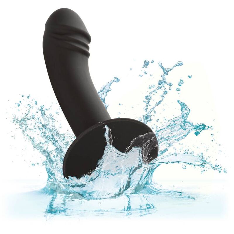 CALEXOTICS Stud Anal Courb? — accessoires inclus