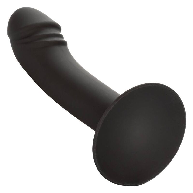 CALEXOTICS Stud Anal Courb? - Aura Intime