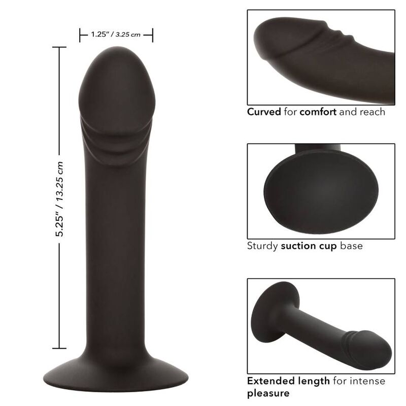CALEXOTICS Stud Anal Courb? — vue arrière