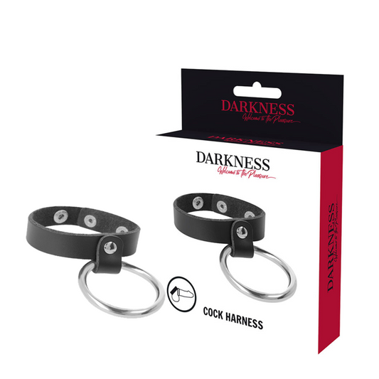 DARKNESS BONDAGE ANNEAU MÉTALLIQUE PÉNIS TESTICULES - Aura Intime