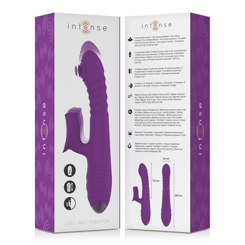 INTENSE HIGH TECH Vibrateur Rechargeable Multifonction Iggy Up & Down Stimu... — accessoires inclus