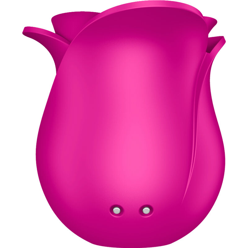 SATISFYER AIR PULSE Air Pulse Vibrateur Fleur Moderne Pro 2 — accessoires inclus
