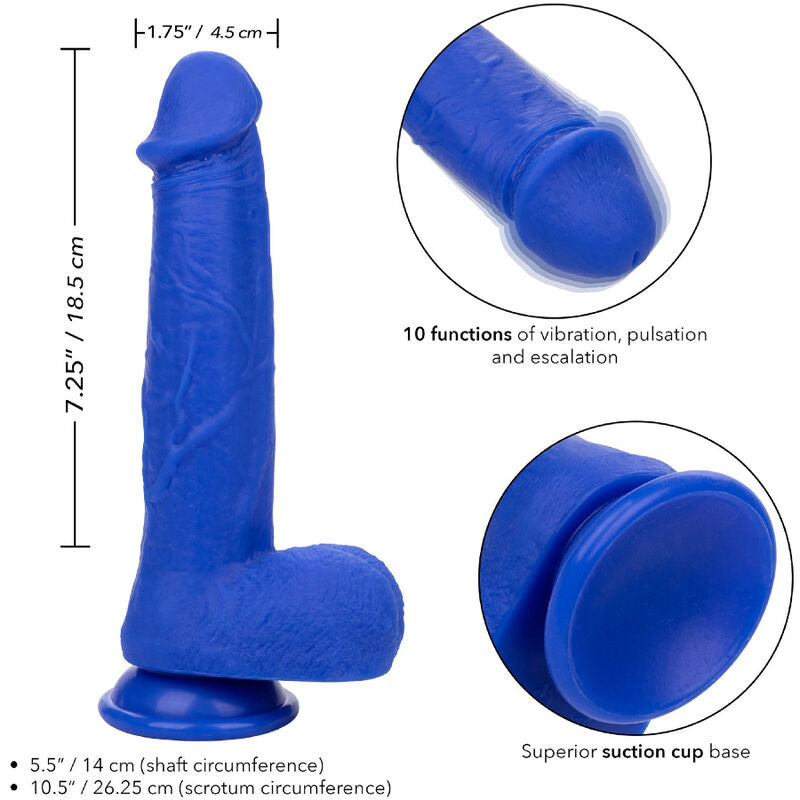 CALEXOTICS ADMIRAL VIBRATEUR GODE RÉALISTE CAPTAIN BLEU — vue arrière