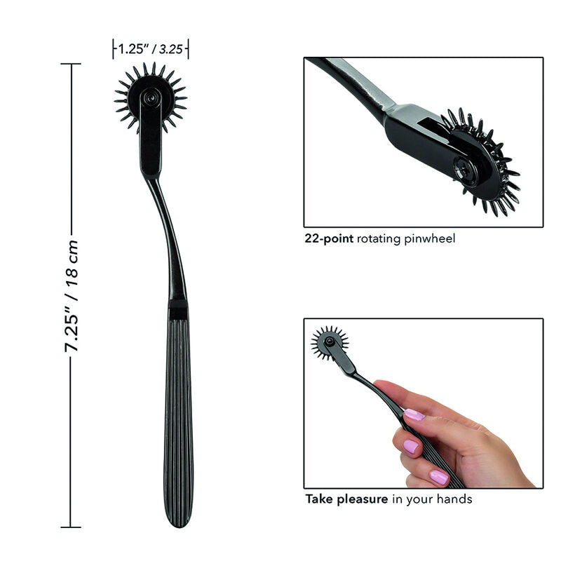 CALEXOTICS Boundless Roue Plaisance — accessoires inclus
