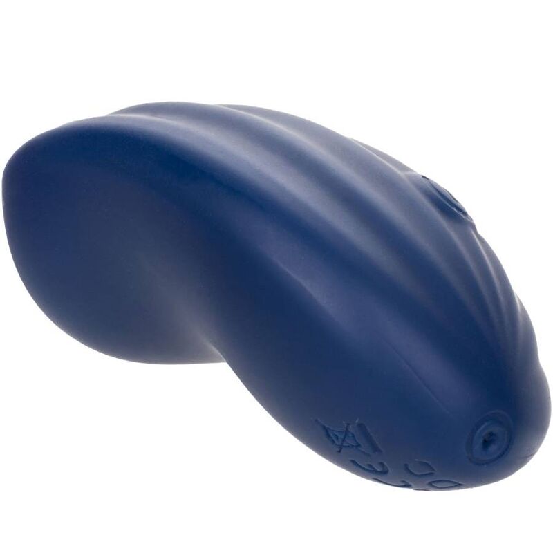 CALEXOTICS Cashmere Velours Curve Bleu — vue arrière