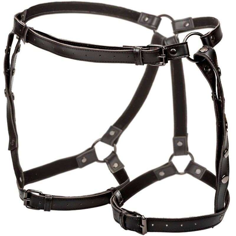 CALEXOTICS Euphoria Harnais Cuisse Déquitation Taille Plus — vue arrière