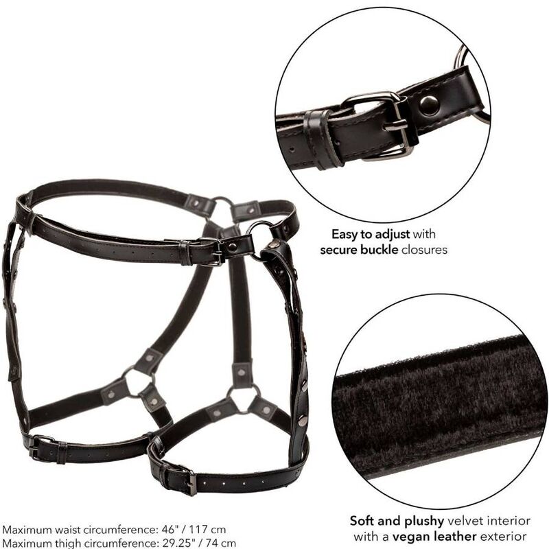 CALEXOTICS Euphoria Harnais Cuisse Déquitation Taille Plus — accessoires inclus