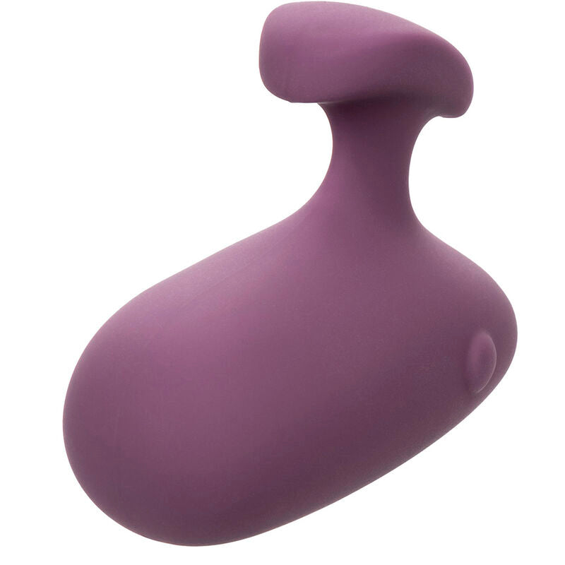 CALEXOTICS Stimulateur Mod Touch Violet — vue alternative