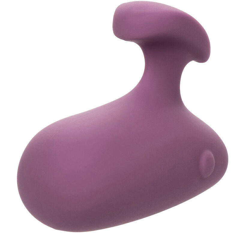 CALEXOTICS Stimulateur Mod Touch Violet — vue détaillée