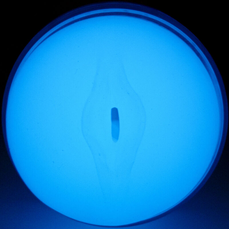 KIIROO Sentez Glow In The Dark Stroker — vue arrière