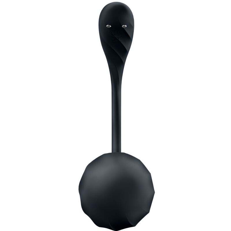 SATISFYER PARTNER Ribbed Petal Télécommande Stimulateur Point G Noir Applic... — accessoires inclus