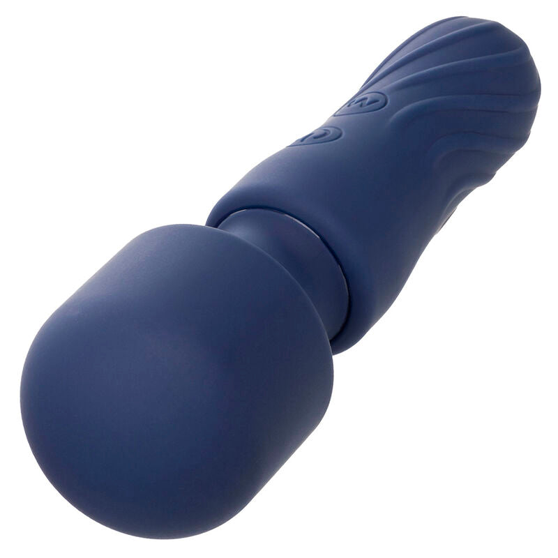 CALEXOTICS Charisma Charm Masseur 12 Fonctions Violet — vue arrière