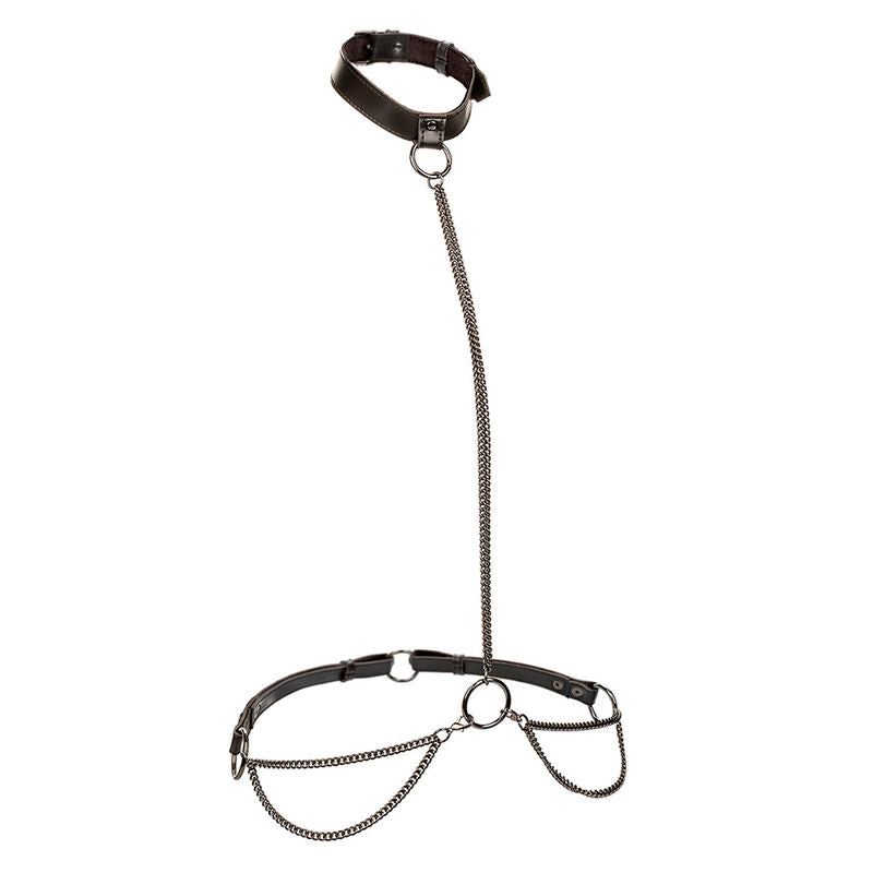 CALEXOTICS Euphoria Collier Laisse Chaine — vue détaillée