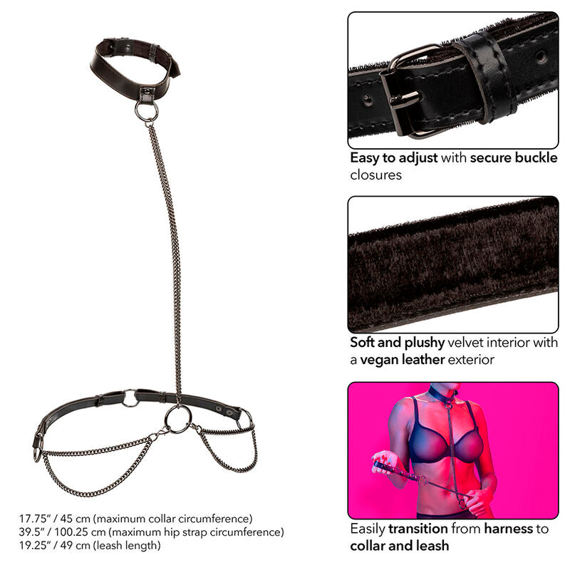 CALEXOTICS Euphoria Collier Laisse Chaine — vue alternative
