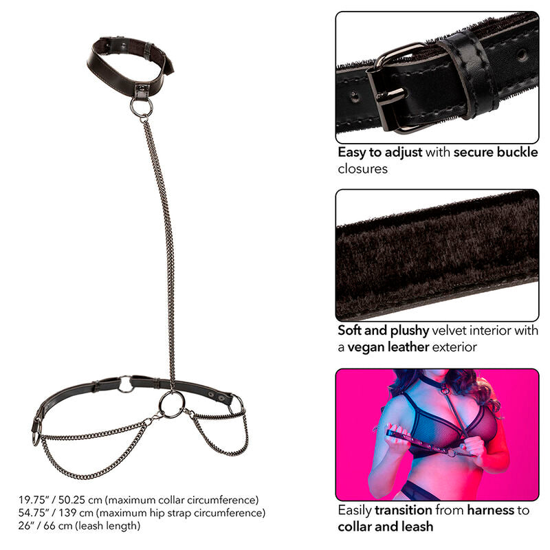 CALEXOTICS Euphoria Collier Licol Laisse Grande Taille — accessoires inclus