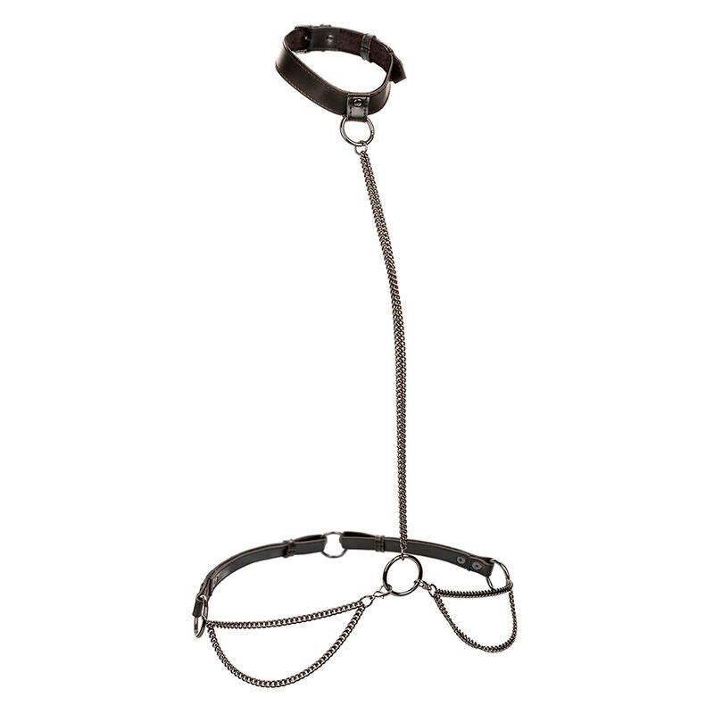 CALEXOTICS Euphoria Collier Licol Laisse Grande Taille — vue détaillée