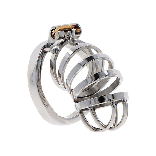 HIDDEN DESIRE Extreme Cage Chasteté Métal - Aura Intime