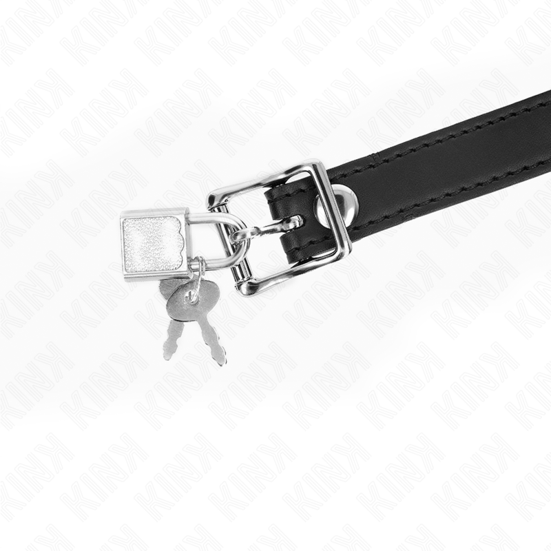 KINK COLLAR & GAG Bâton Silicone 4 Cm Serrure 60 X 2 Cm — vue arrière