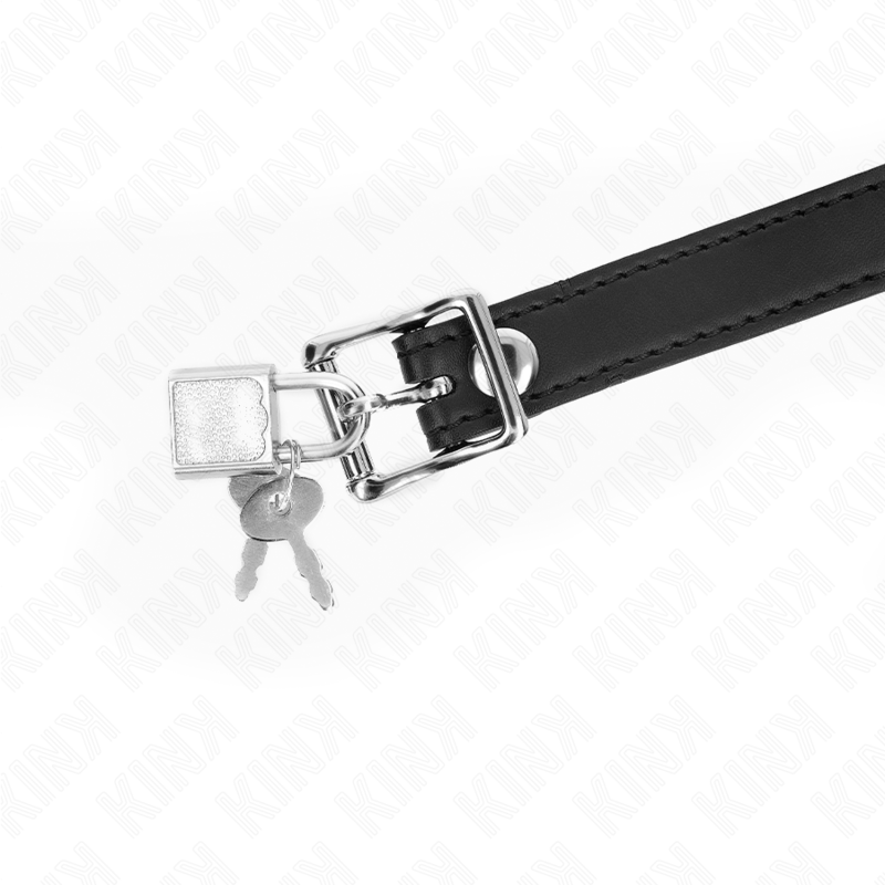 KINK COLLAR & GAG Modèle 1 Bille Silicone 4 Cm Bag Serrure 60 X 2 Cm — vue arrière