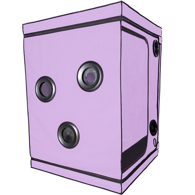 SECRET DOME Kink Club Cabine Scandale Purple - Aura Intime