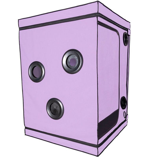 SECRET DOME Kink Club Cabine Scandale Purple - Aura Intime