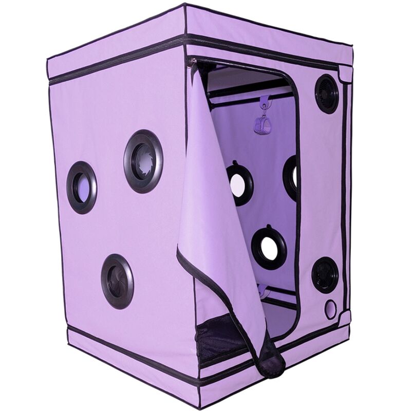 SECRET DOME Kink Club Cabine Scandale Purple — vue détaillée