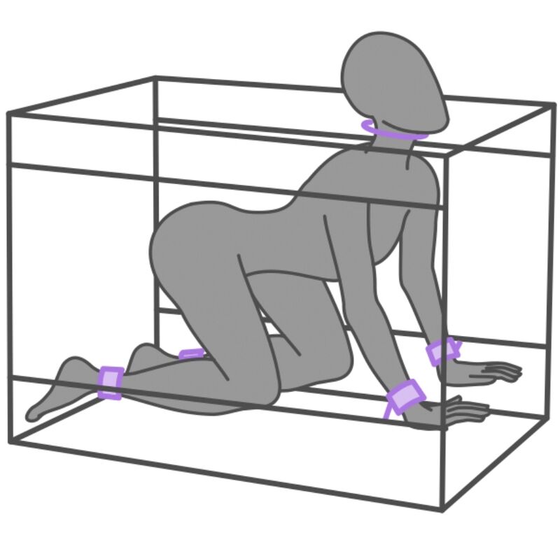 SECRET DOME Kink Club Niche Cabine Violet — vue arrière