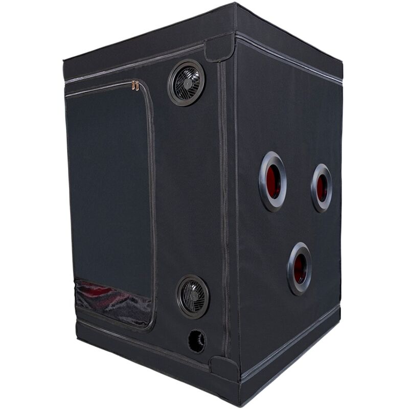 SECRET DOME Kink Club Cabin Scandale Noir Rouge — vue alternative