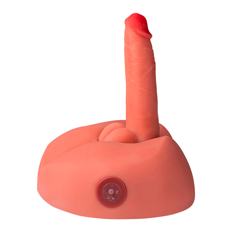 XISE Godemichet Réaliste Honey Masturbateur Vibrant 25 Cm — vue arrière