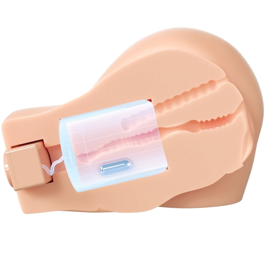 PDX ELITE MASTURBATEUR RÉALISTE VIBRANT VAGIN ANUS — vue arrière