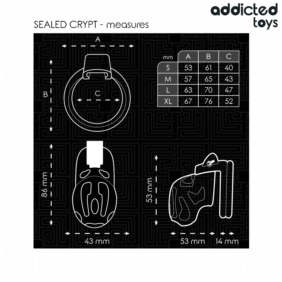 ADDICTED TOYS LOCKED À Pénis Cryptée Verrouillée Scellée 8 Cm — accessoires inclus