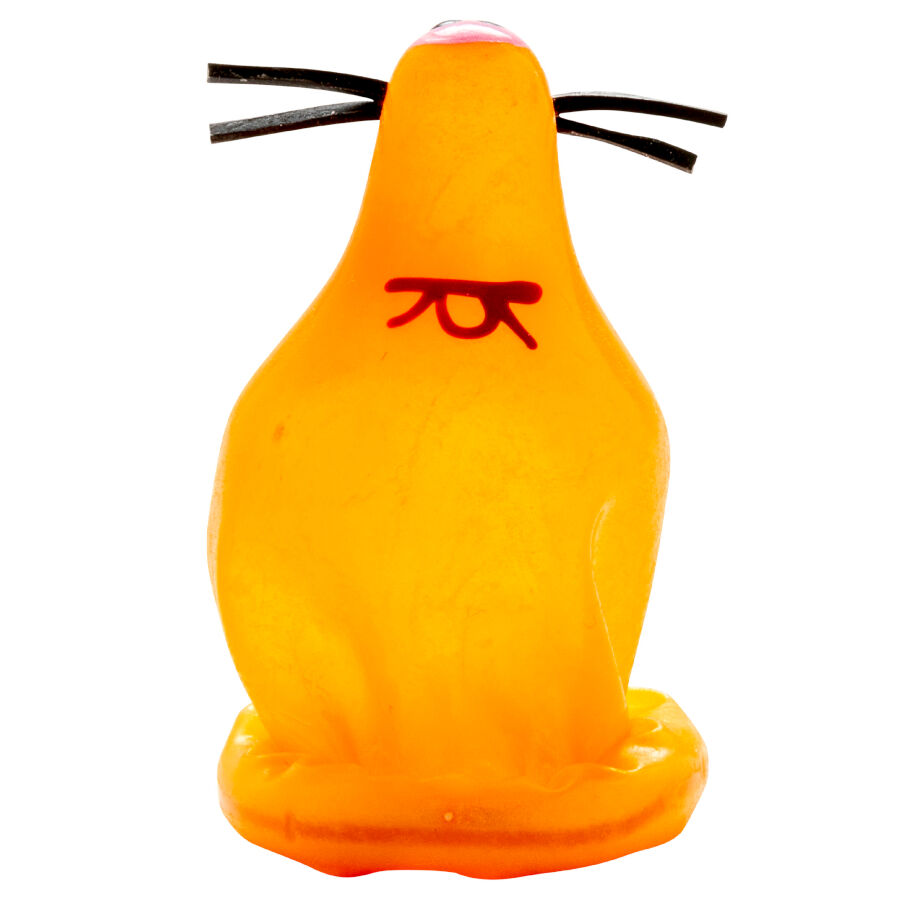 CONDOMERIE Préservatifs Fantaisie Peints À Main Fox Glued — vue arrière