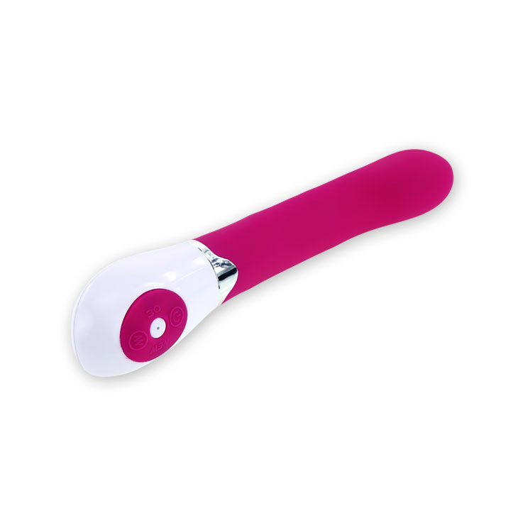 PRETTY LOVE FLIRTATION Flirtation Vibrateur Daniel — accessoires inclus