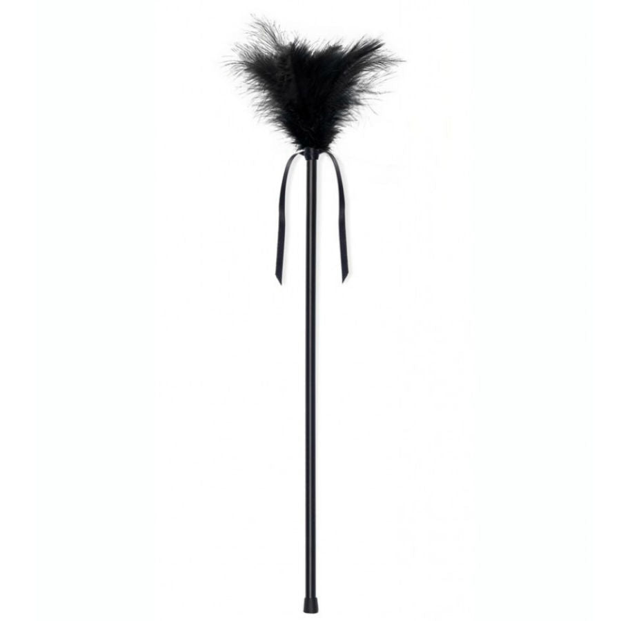 SECRETPLAY 100% FETISH Plumes Noires 40 Cm — vue alternative