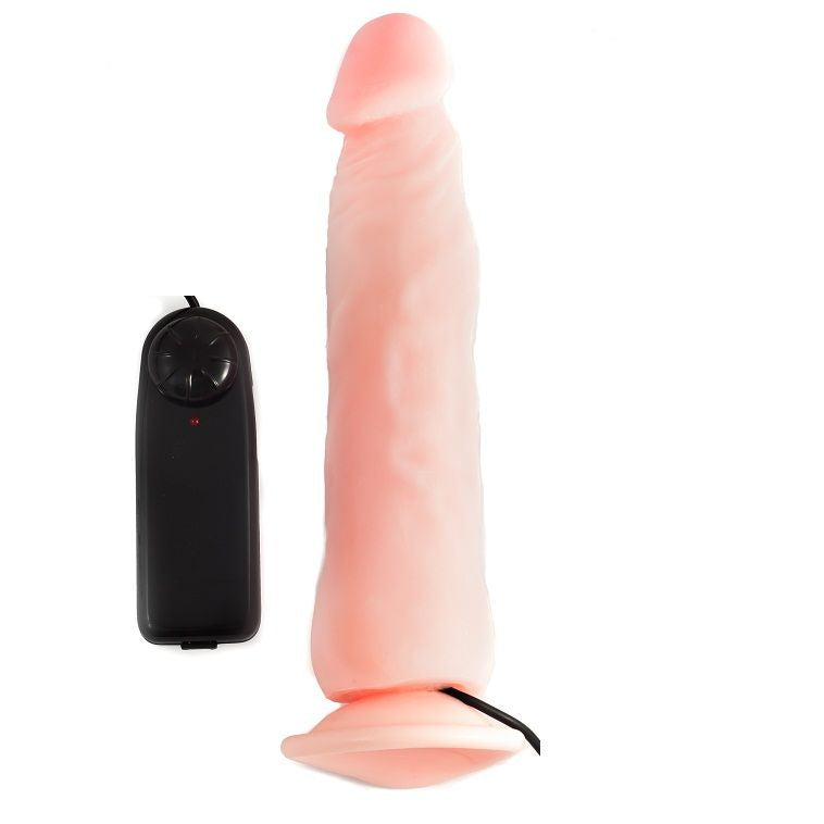 BAILE CLONE DAMOUR PÉNIS RÉALISTE 22.3 CM - Aura Intime