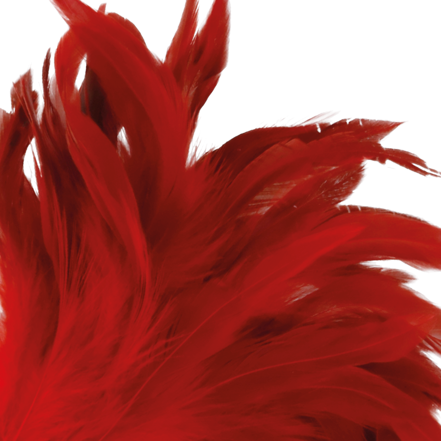 DARKNESS SENSATIONS Stylo Stimulant Rouge 24Cm — vue détaillée